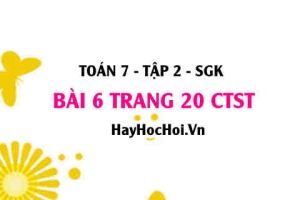 Bài 6 trang 20 Toán 7 Tập 2 Chân trời sáng tạo